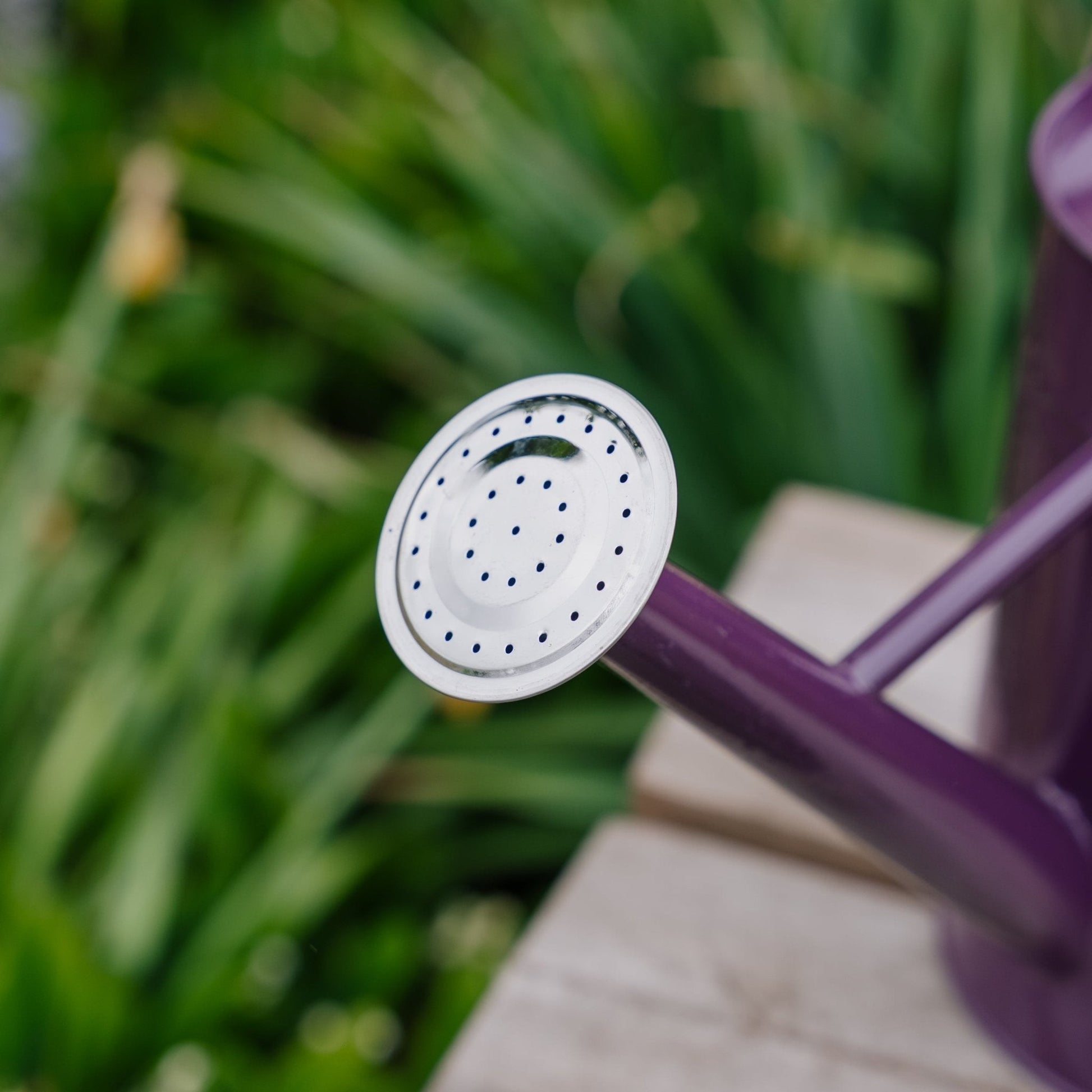 Metalvandkande, 4,5 L, dyb violet