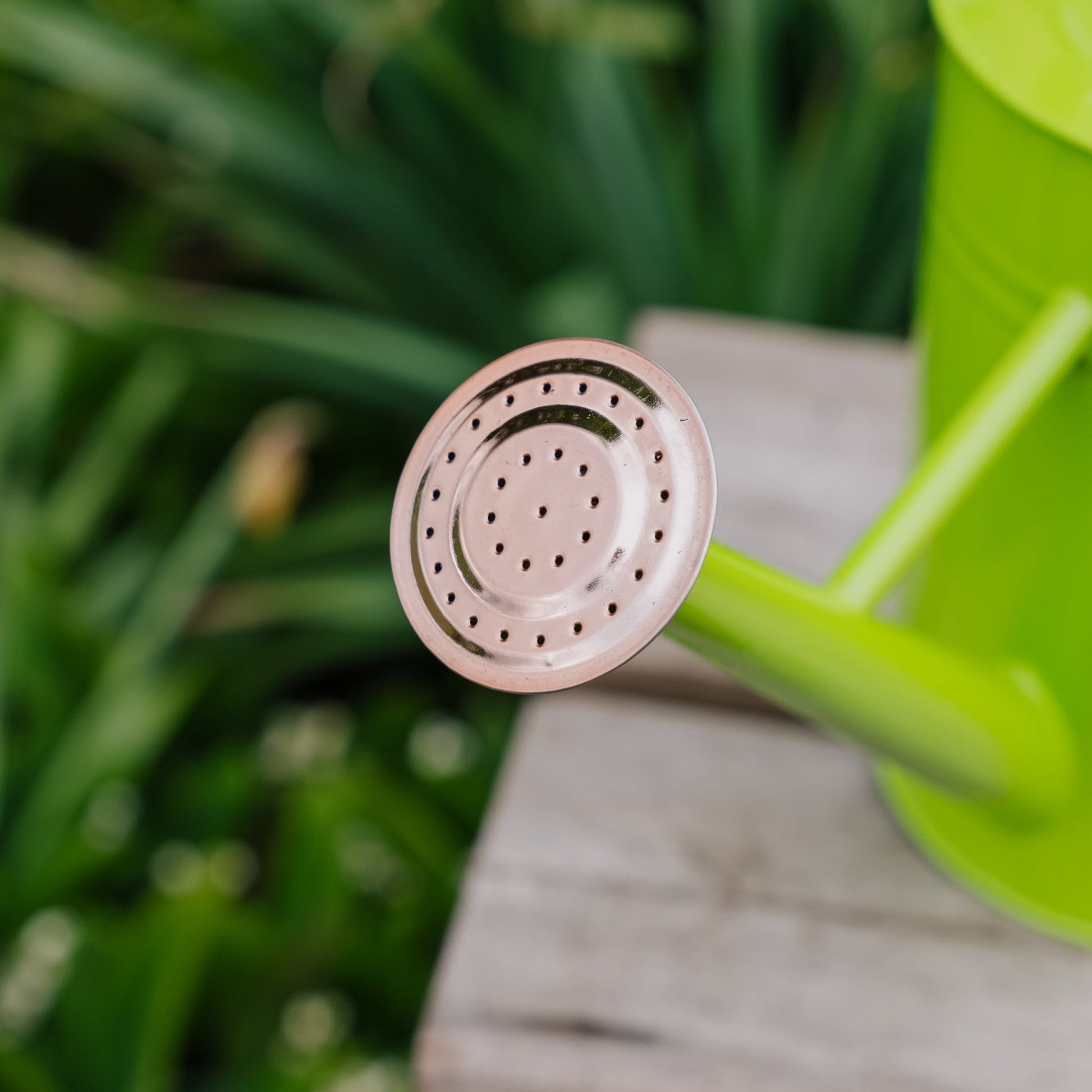 Metalvandkande, 4,5 L, frisk grøn