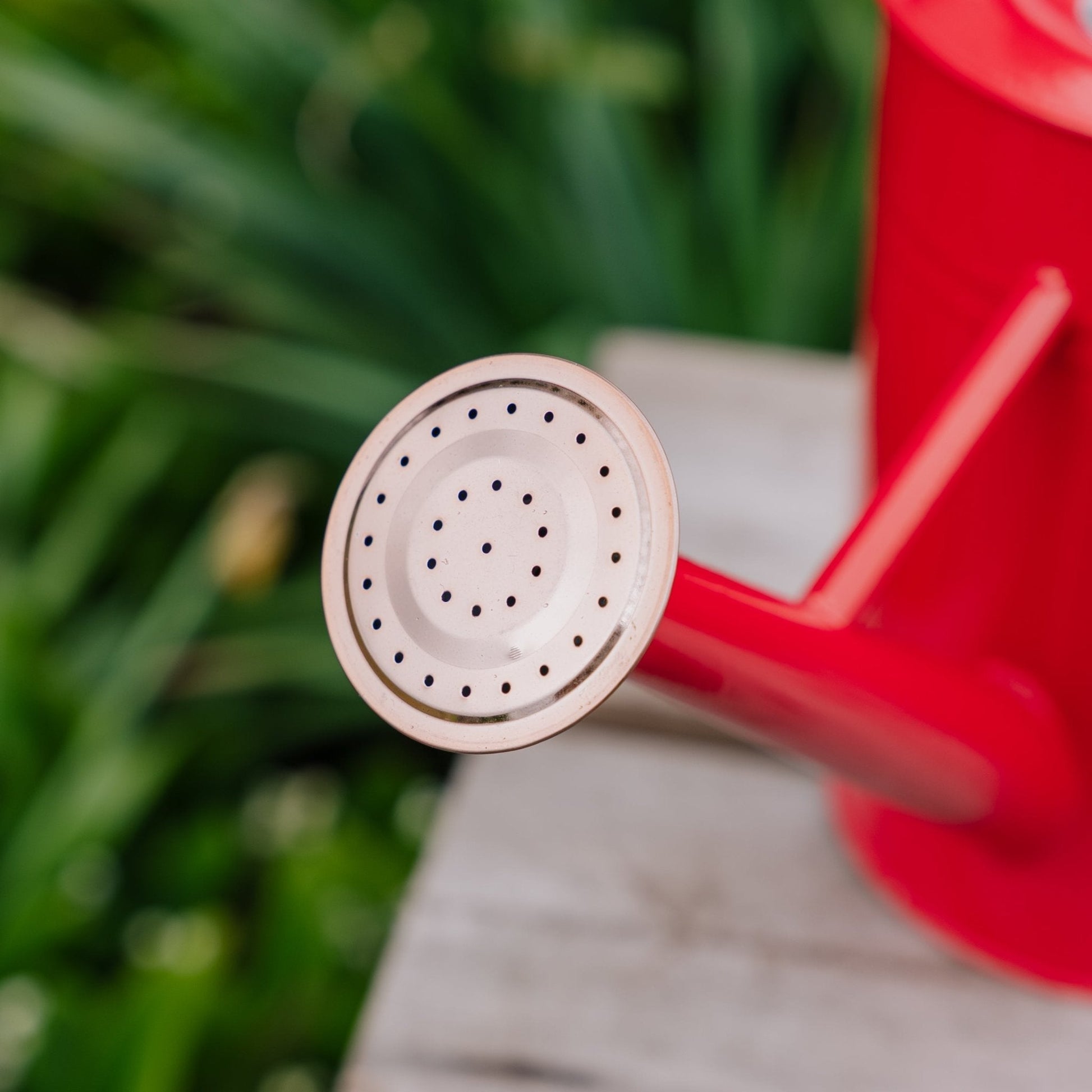 Metalvandkande, 4,5 L, skarlagenrød