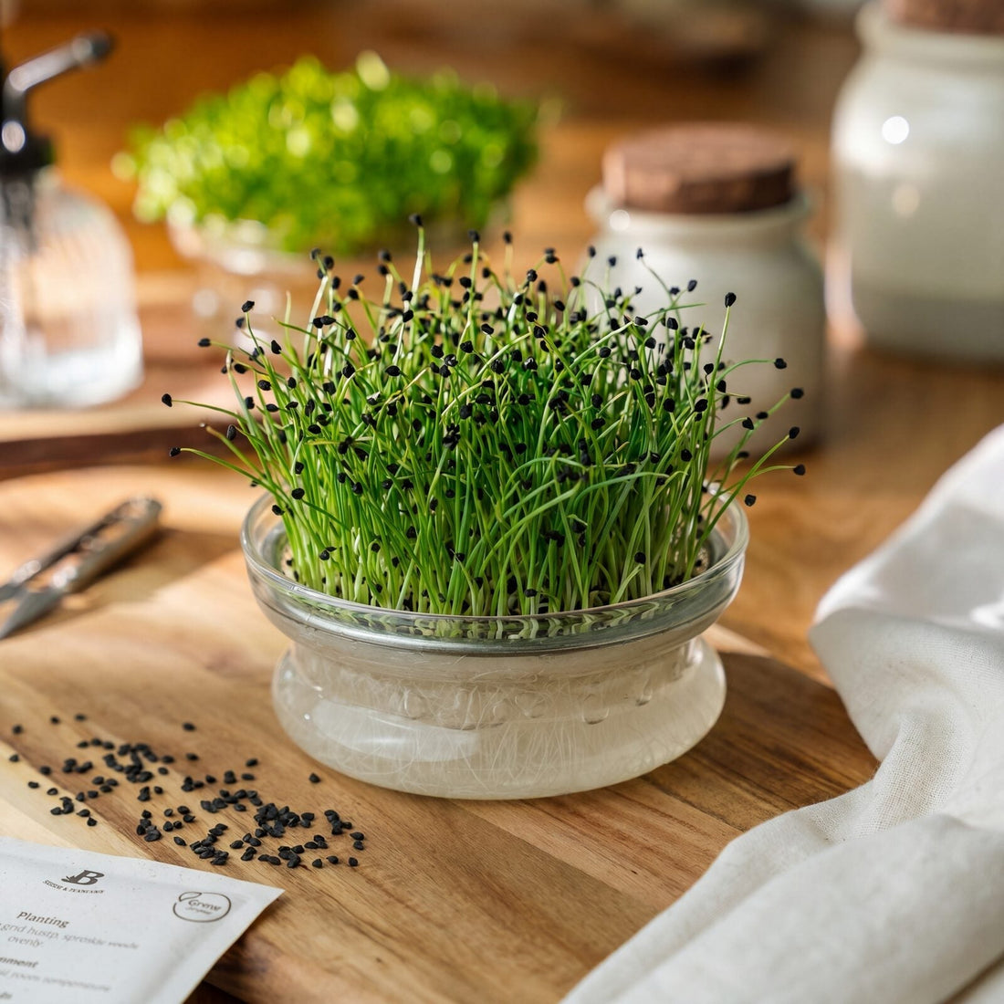 Mikrogrønt frø 'Porre' - 4500 Økologiske frø