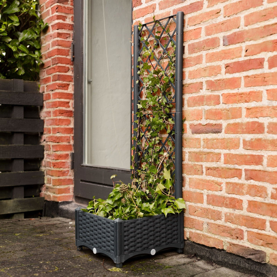 Plantekasse med espalier