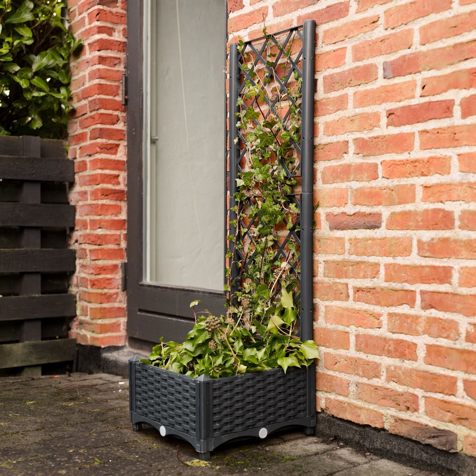 Plantekasse med espalier