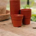 Plantepotter 6 cm, 30 stk.
