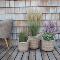 Rattan plantekurve i natur, 3 stk
