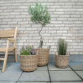 Rattan plantekurve i natur, 3 stk