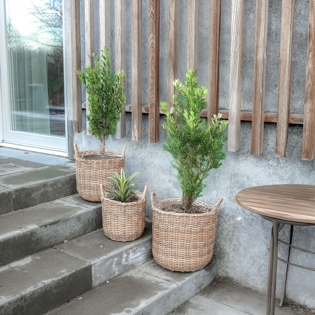 Rattan plantekurve i natur, 3 stk