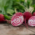 Rødbede frø 'Chioggia' - 50 Økologiske frø