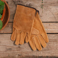 Skindhavehandsker, Onesize
