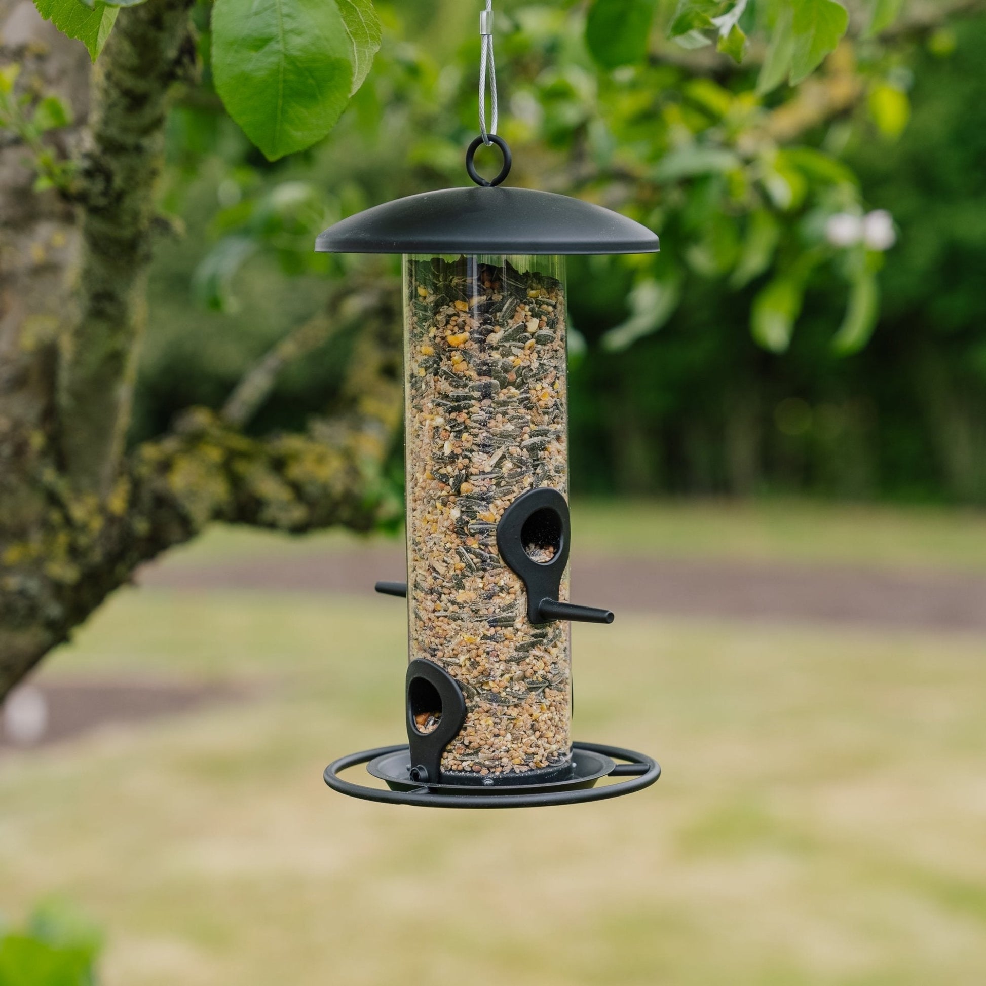 Sort frøfoderautomat, Ø: 14 cm H: 26 cm