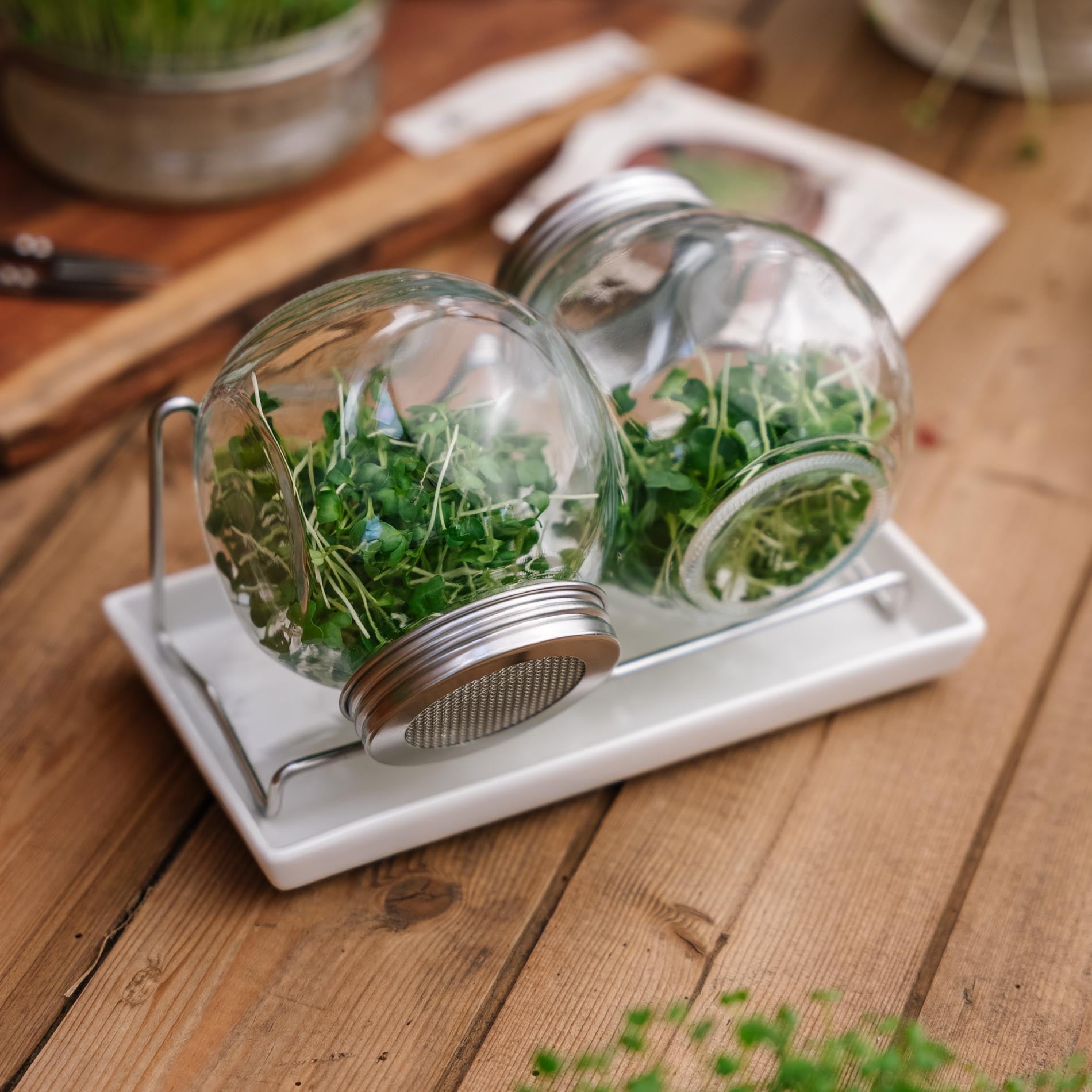 Spireglas sæt med bakke