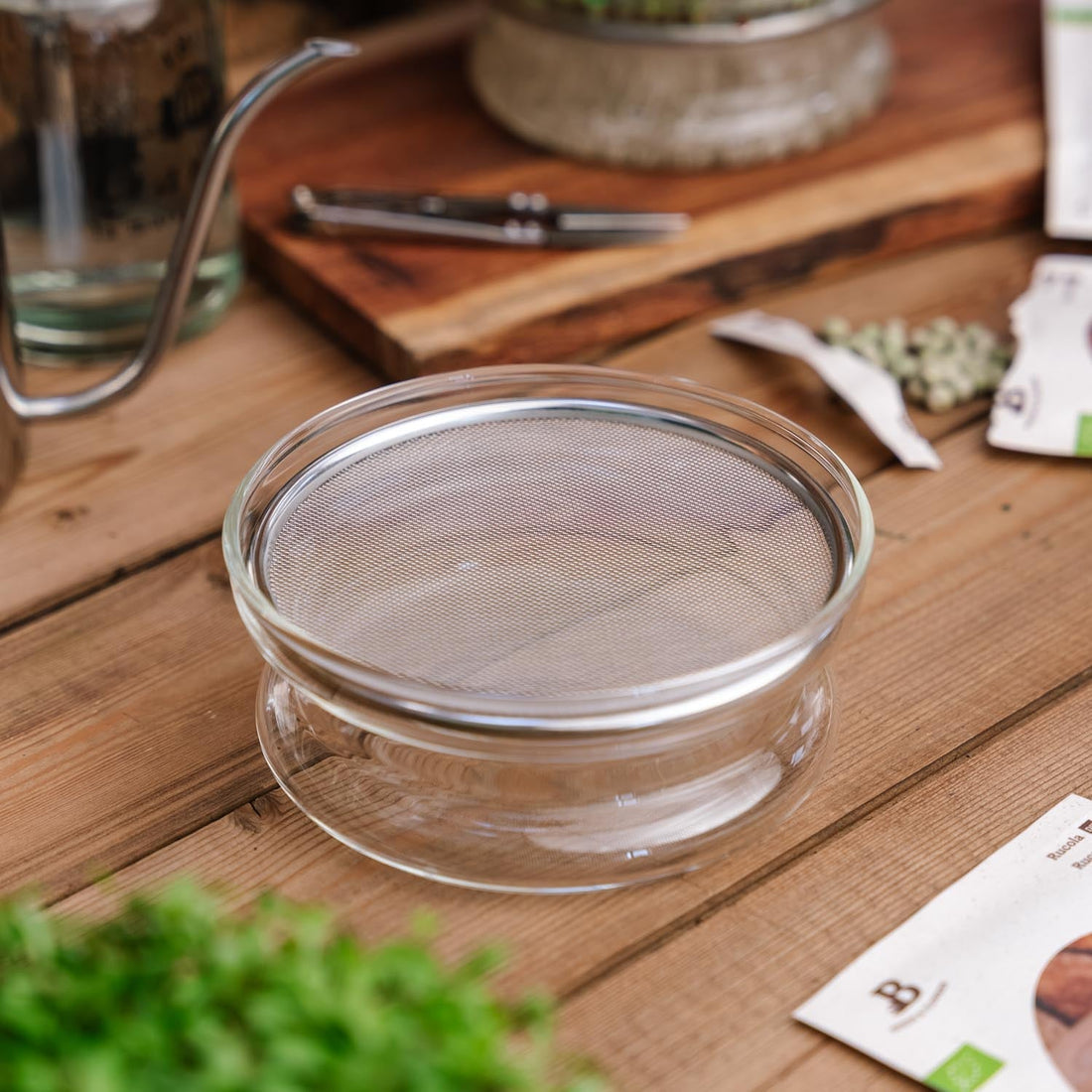 Spireskål til mikrogrønt