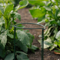 Støttebøjle til planter, B: 20 cm H: 35 cm