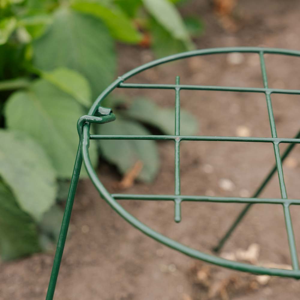 Støttenet til planter, B: 30 cm H: 45 cm