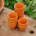 Terracottapotter 4/5 cm, 12 stk.