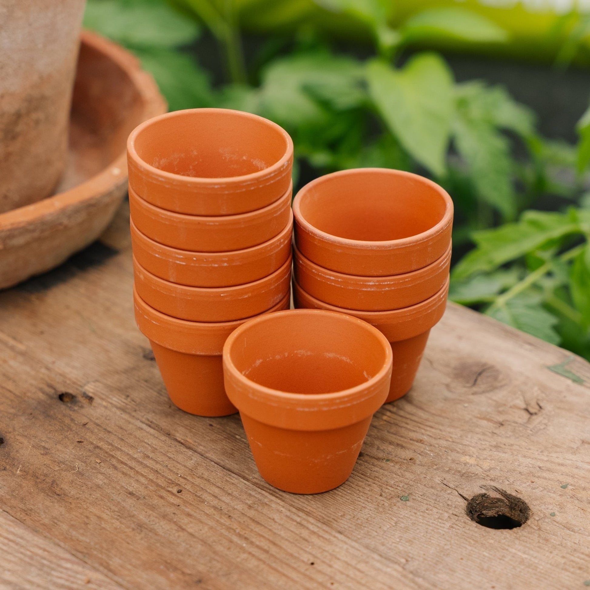 Terracottapotter 5/6 cm, 9 stk.
