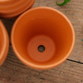 Terracottapotter 7/8 cm, 7 stk.
