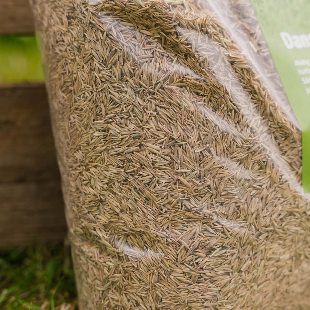 Turfline Dansk Plænegræs, 1,8 kg (60 m²)