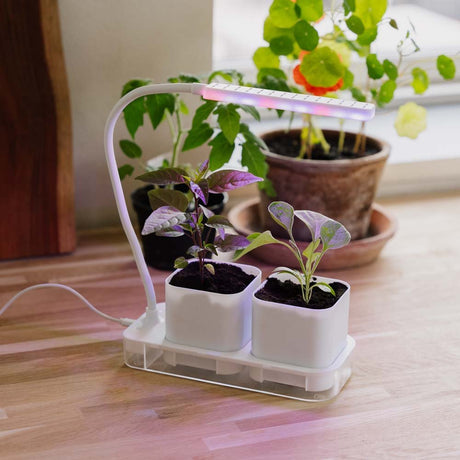 Vækstlampe med 2 potter, L: 22,5 cm B: 9 cm H: 28,5 cm