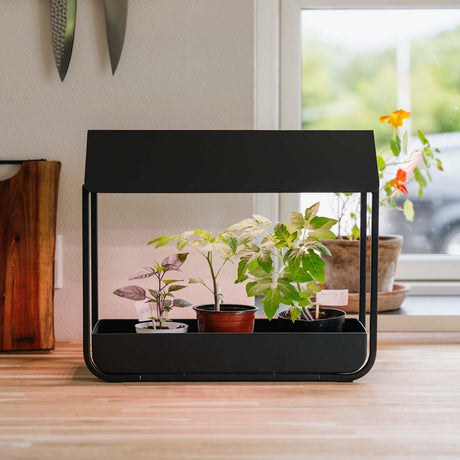 Vækstlys, sort, L: 17.5 cm B: 42.4 cm H: 36.5 cm