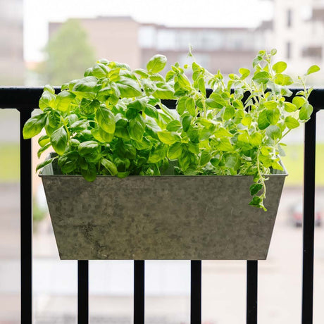 Zink altankrukke, L: 40 cm B: 16 cm H: 16 cm