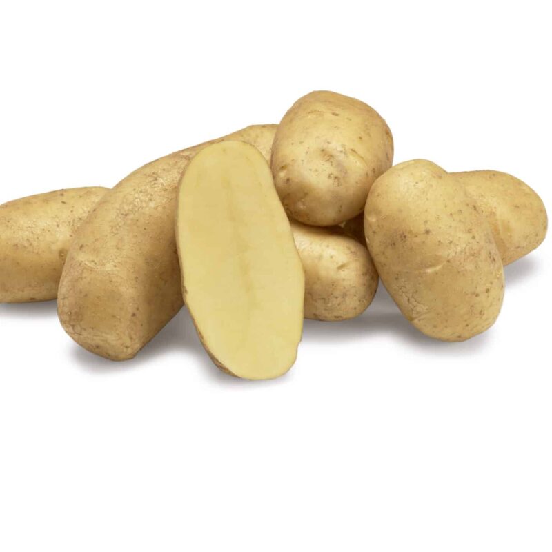 Læggekartofler 'Ditta' Dyrk dine egne kartofler. Du vil elske det.