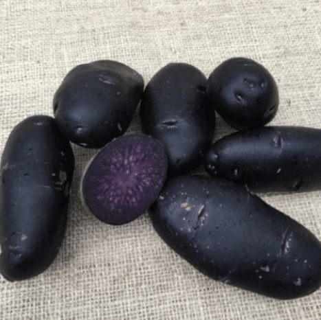 Læggekartofler 'Purple Rain' Dyrk dine egne kartofler. Du vil elske det.