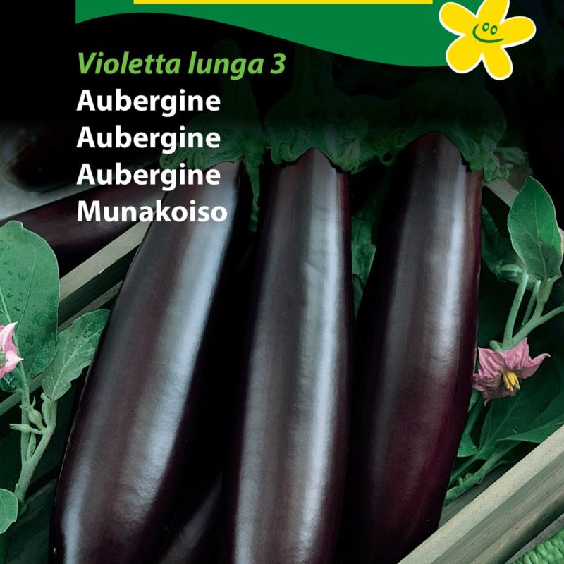 Aubergine 'Violetta Lunga 3' Frø Løgbutikken