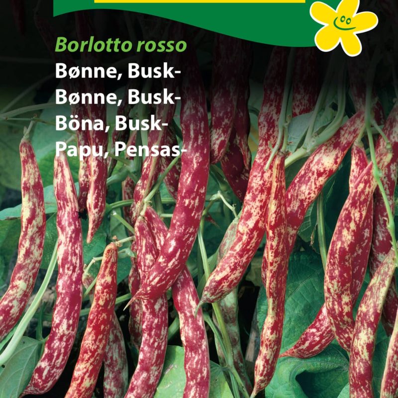Bønne busk 'Borlotto Rosso' Frø Løgbutikken