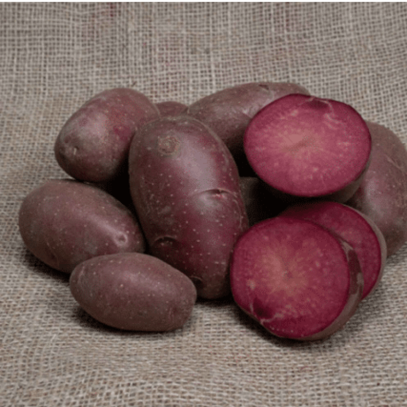 Læggekartofler 'Lily Rose' Dyrk dine egne kartofler. Du vil elske det.