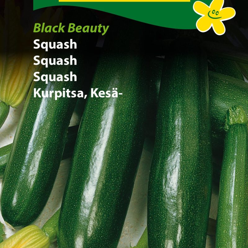 Squash 'Black Beauty' Frø Løgbutikken